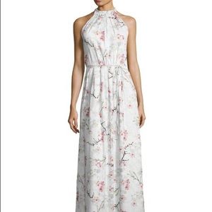 NWT Ted Baker Elynor maxi cherry blossm dress sz 4